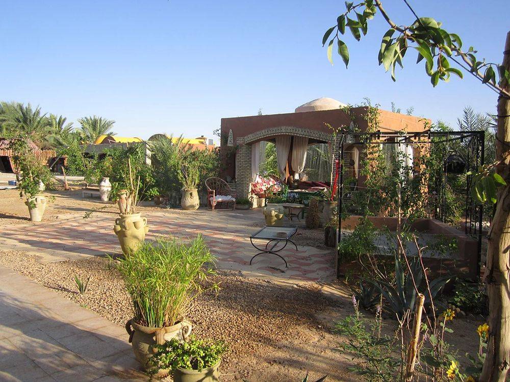 el-nour-sahara-10250